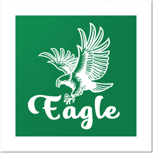 Eagle Falcon Posters and Art